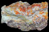 Vibrant, Botryoidal Mimetite On Matrix - Rowley Mine, AZ #76902-1
